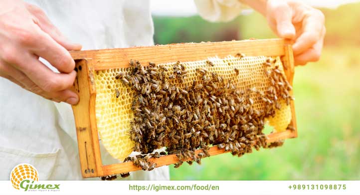 buy honey online from igimex