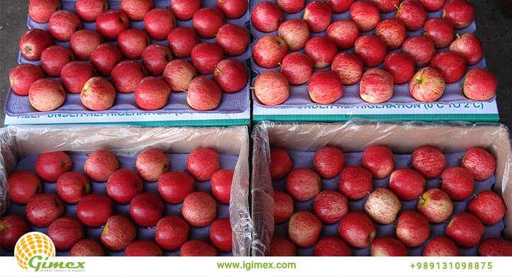 سیب صادراتی مرتب
