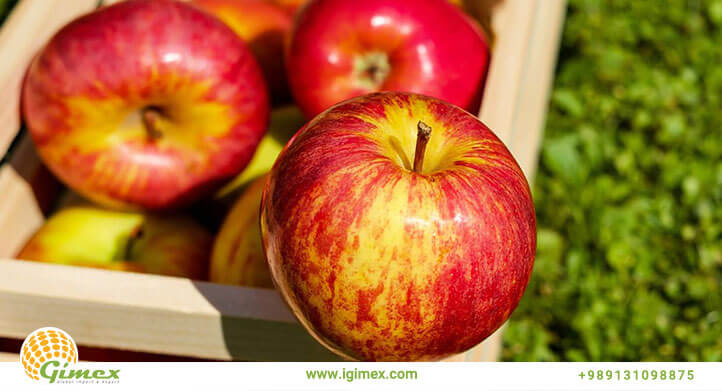 سیب صادراتی تازه