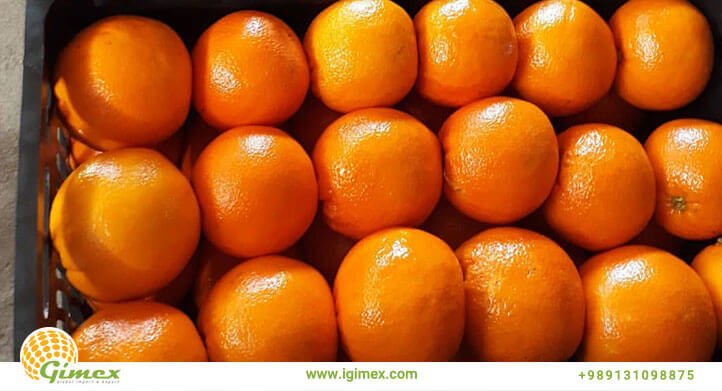 پرتقال صادراتی مرتب